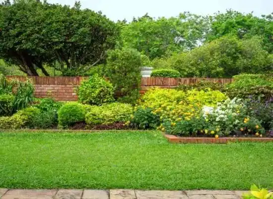 landscaping services Silver Spring